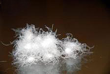 feather